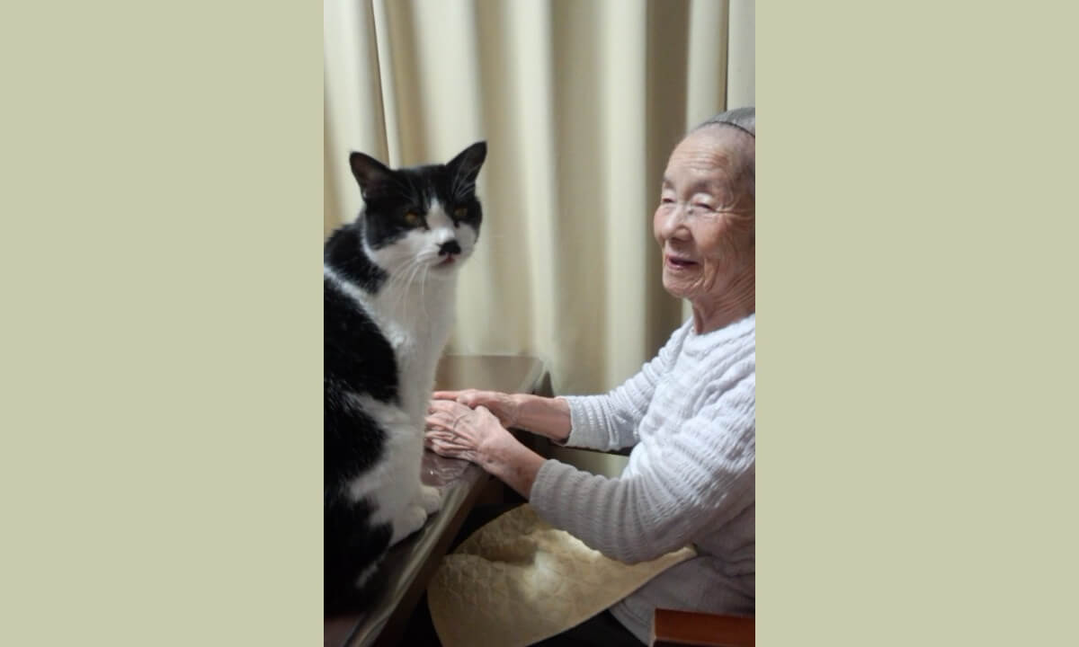 猫の暮らしの歴史 猫と高齢者 猫は介護生活の癒し 猫の譲渡会 猫ちゃんブログ