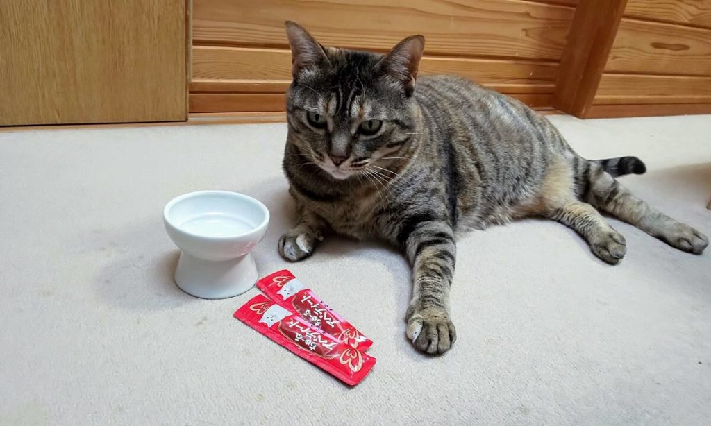 猫の軟便を硬くしてくれるヒルズの消化ケアフードｉ ｄ 食べやすい小粒の薄いカリカリ いなばのチャオちゅーる 猫ちゃんブログ